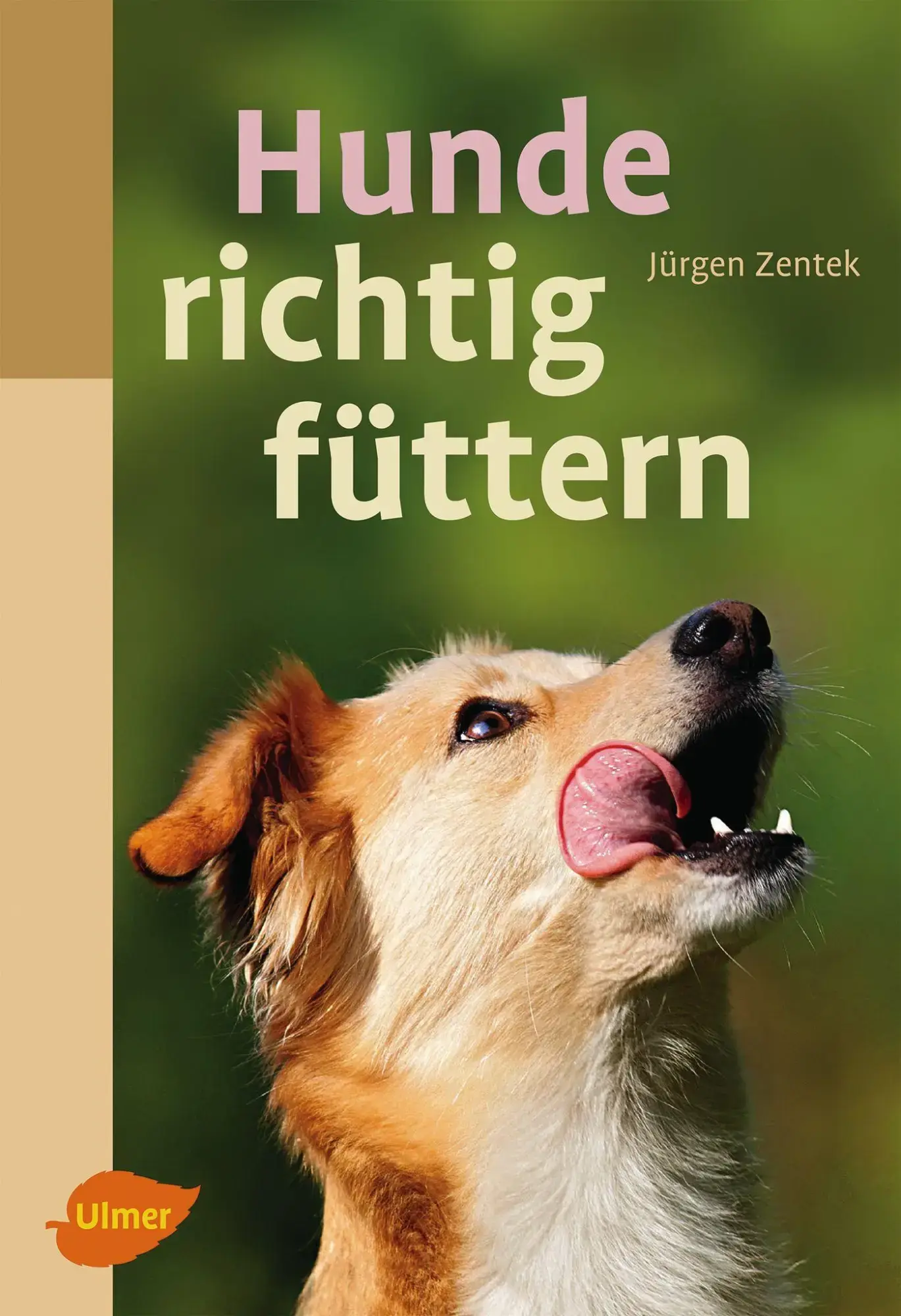 Bild 1 von 1