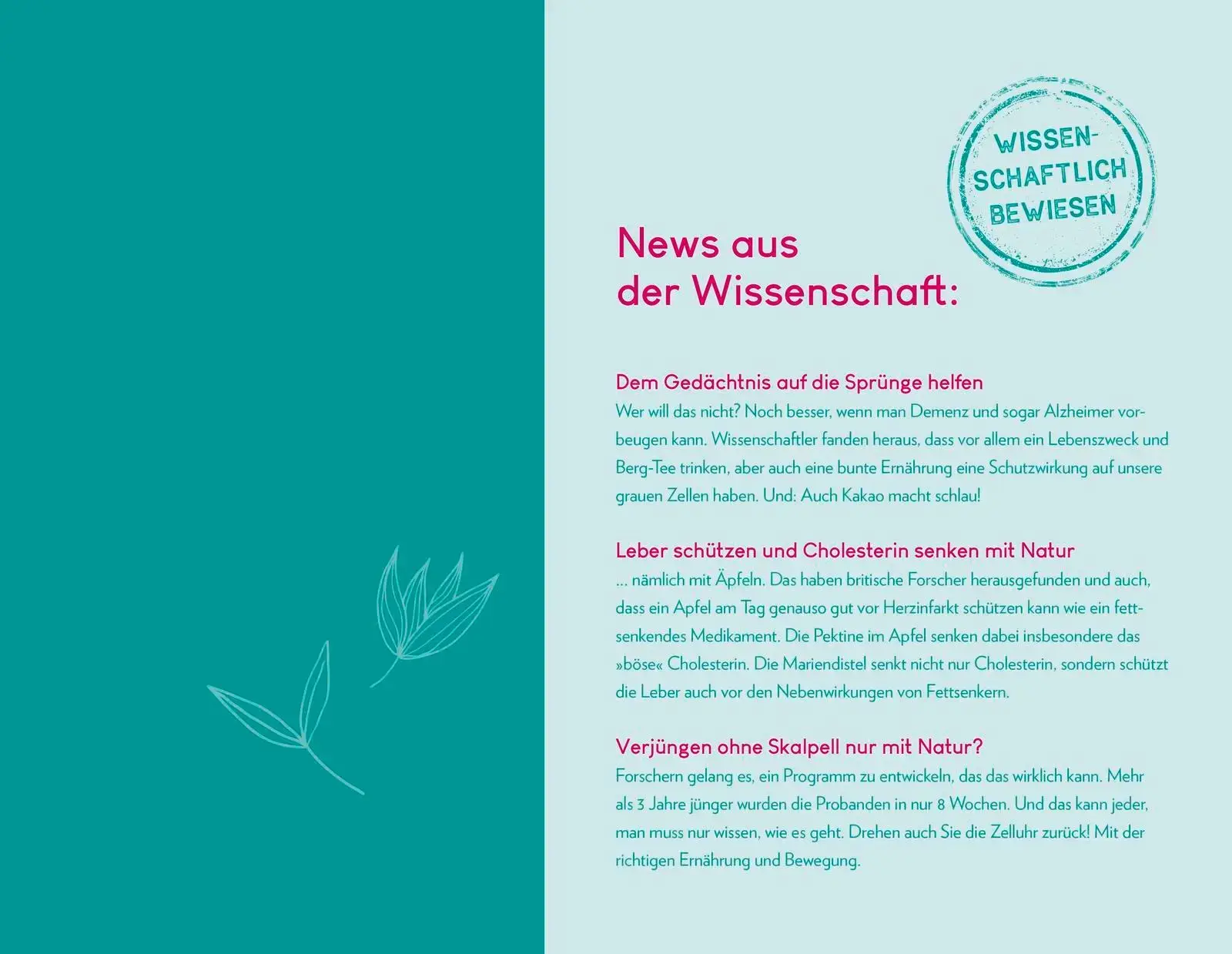 Bild 3 von 12