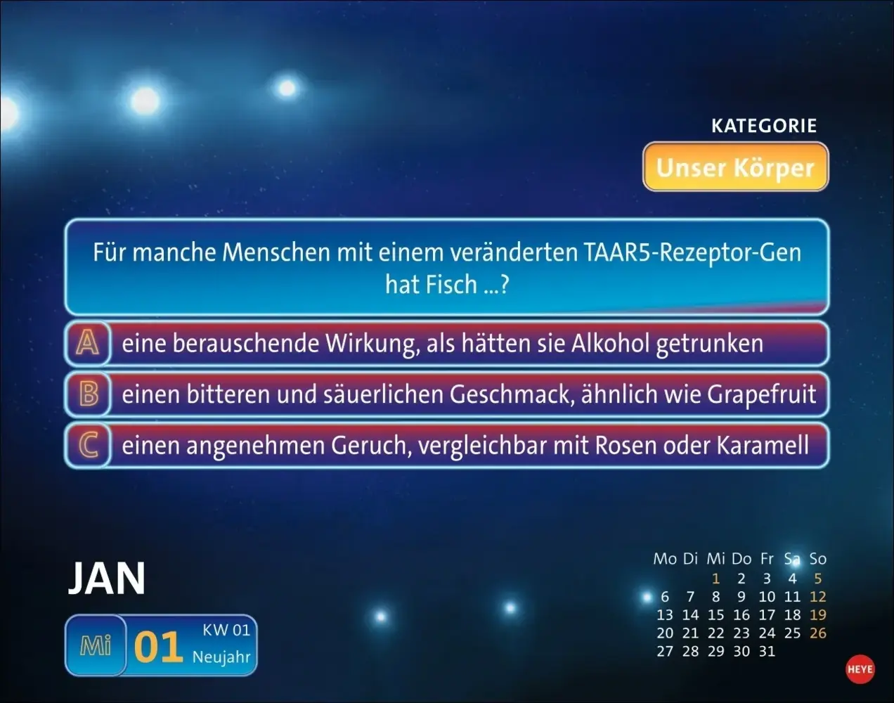 Bild 4 von 14
