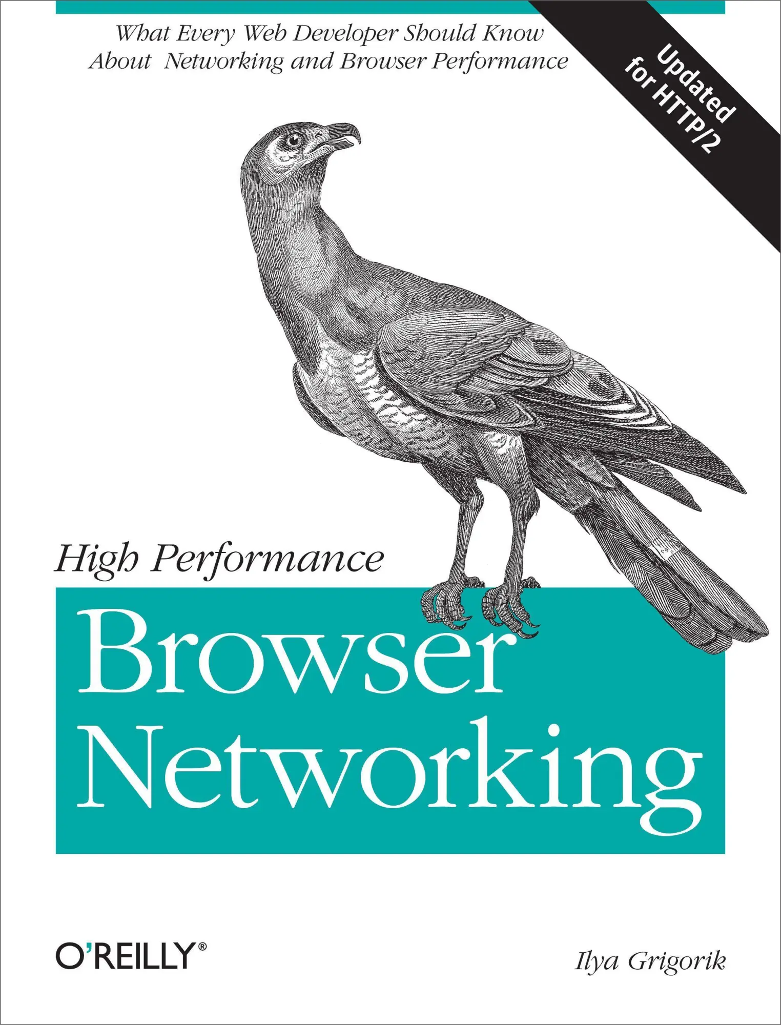 High Performance Browser Networking | Ilya Grigorik | Englisch | Taschenbuch-image