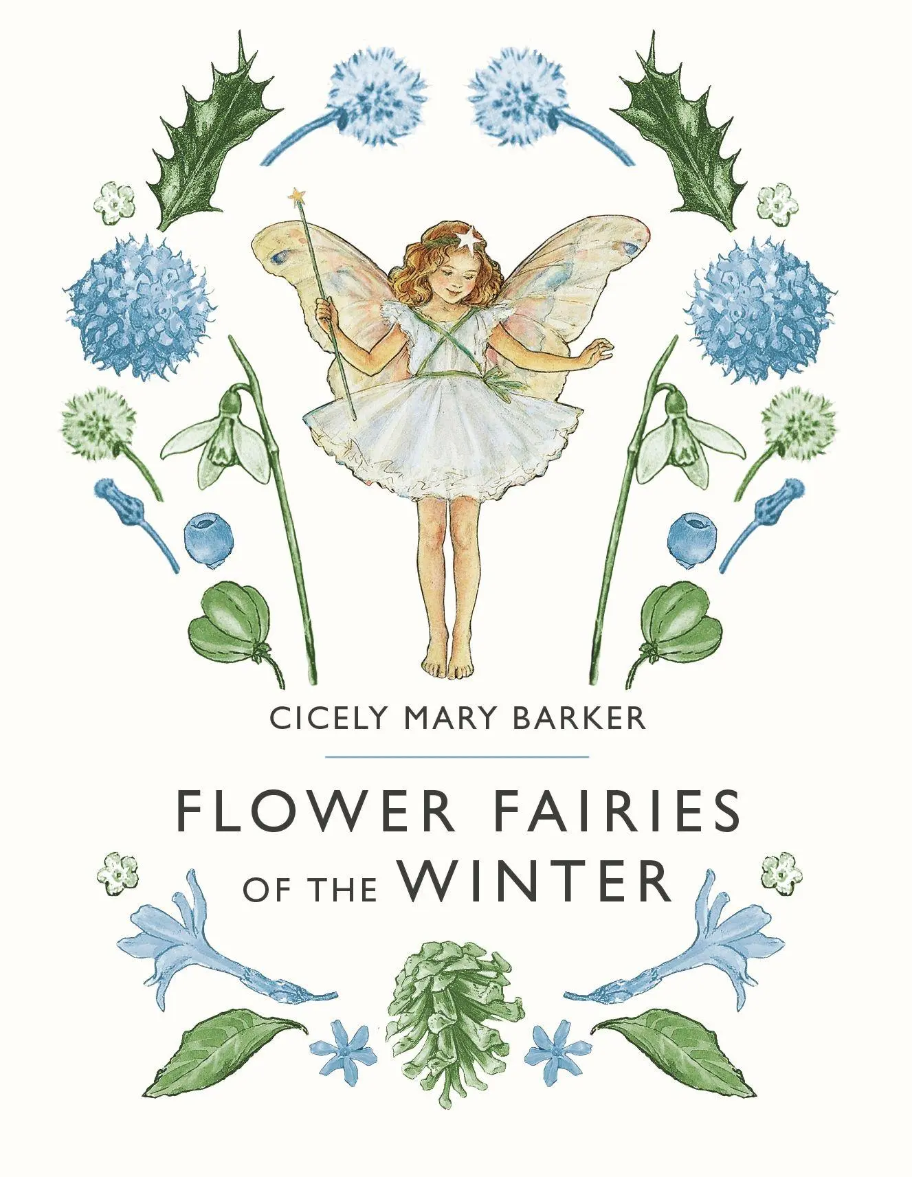 Flower Fairies Of The Winter | Cicely Mary Barker | Englisch | Buch | Gebunden-image
