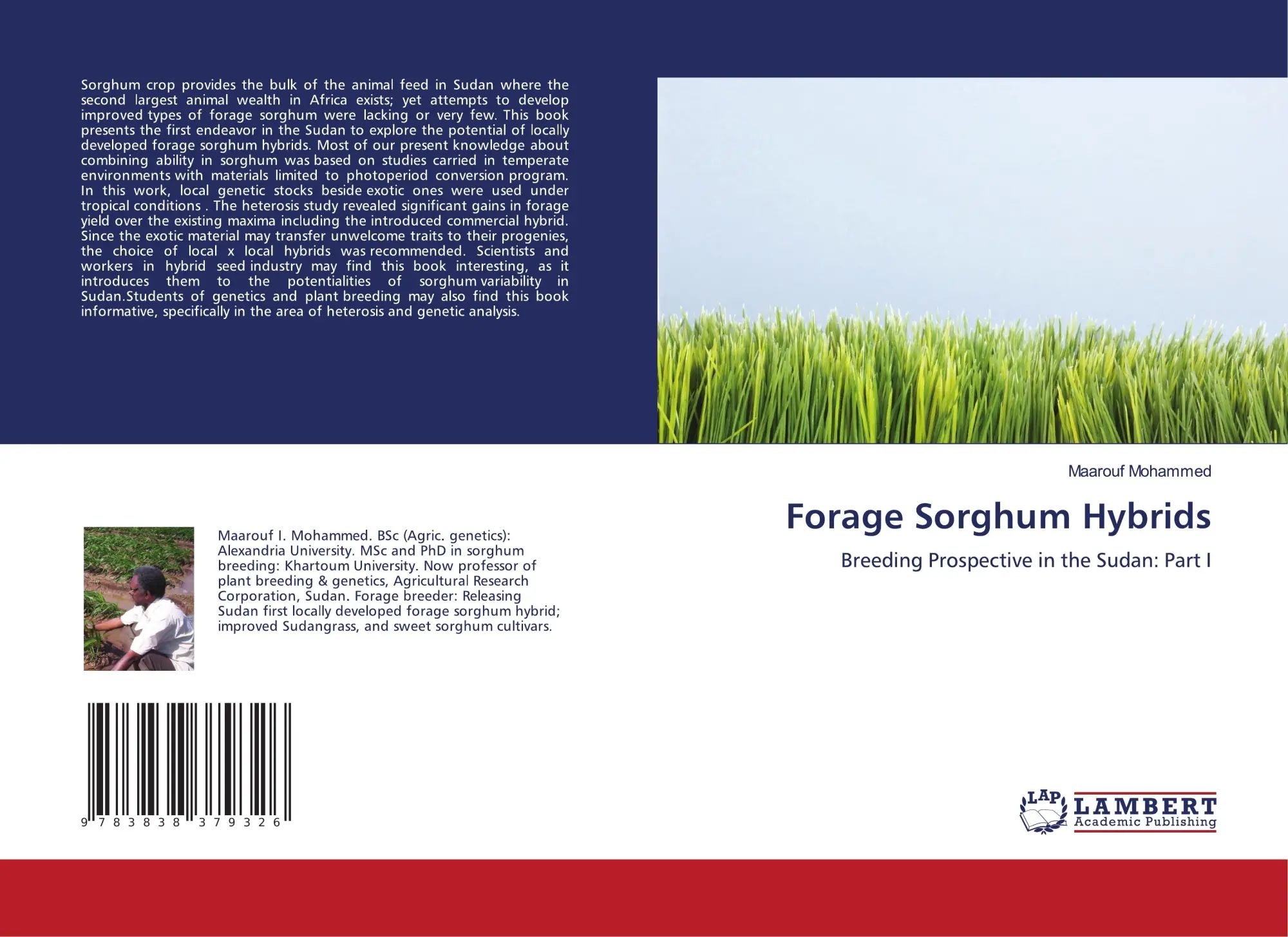 Forage Sorghum Hybrids : Breeding Prospective in the Sudan Part I : Maarouf Mohammed : Taschenbuch : 104 S. : Englisch : 2010 : LAP LAMBERT Academic Publishing : EAN 9783838379326 - Mohammed, Maarouf